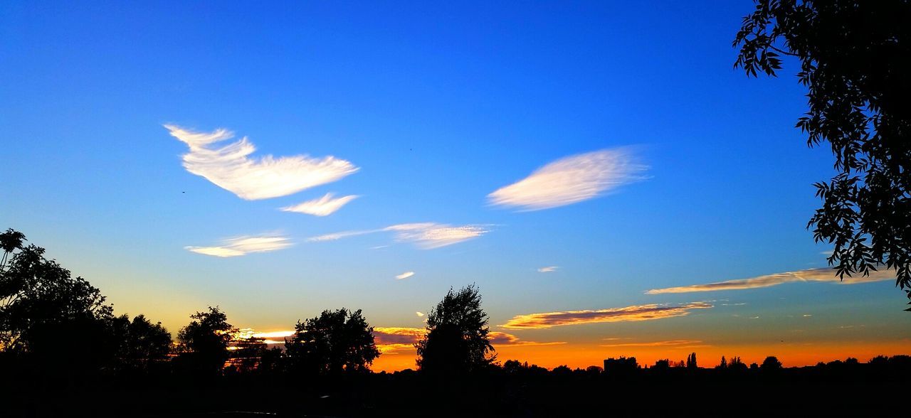 SUNSET OVER LANDSCAPE