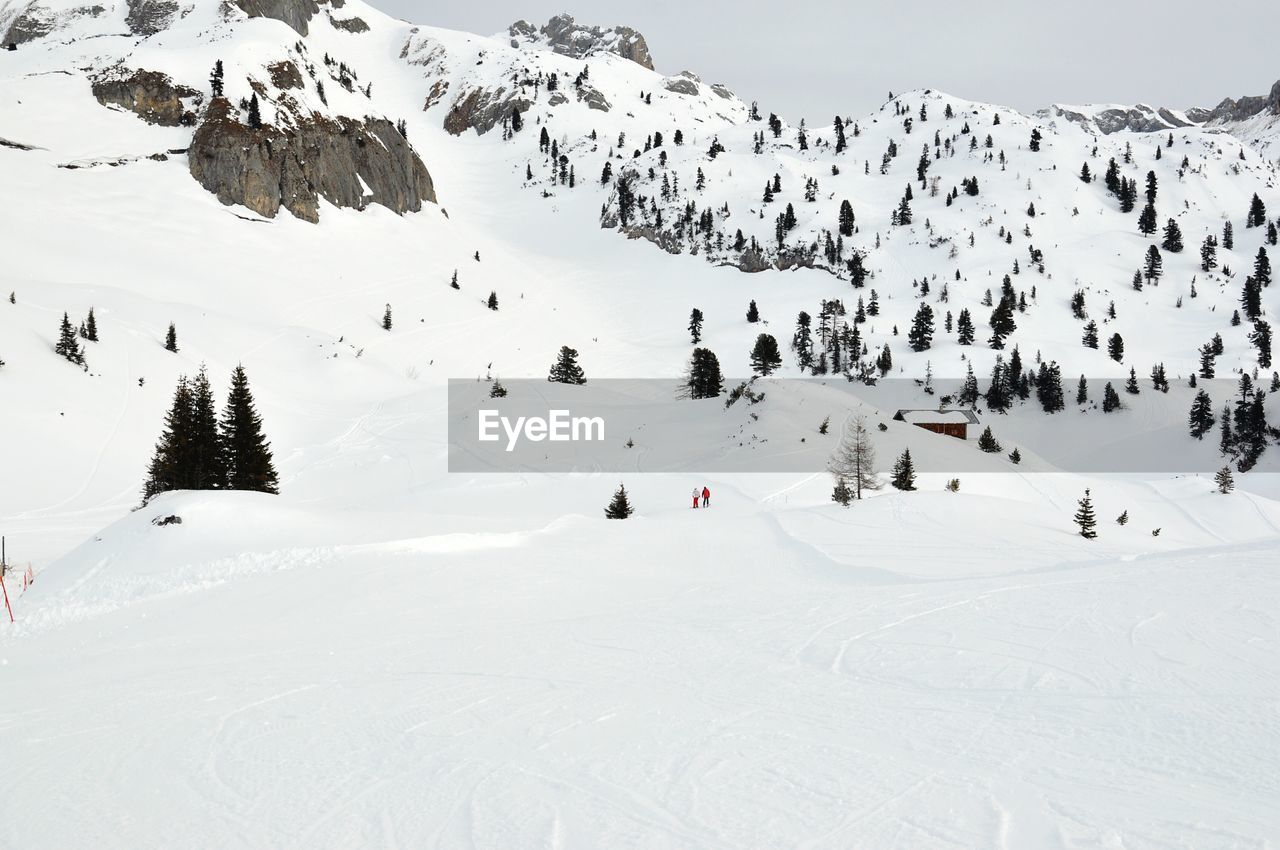 SNOW COVERED LANDSCAPE