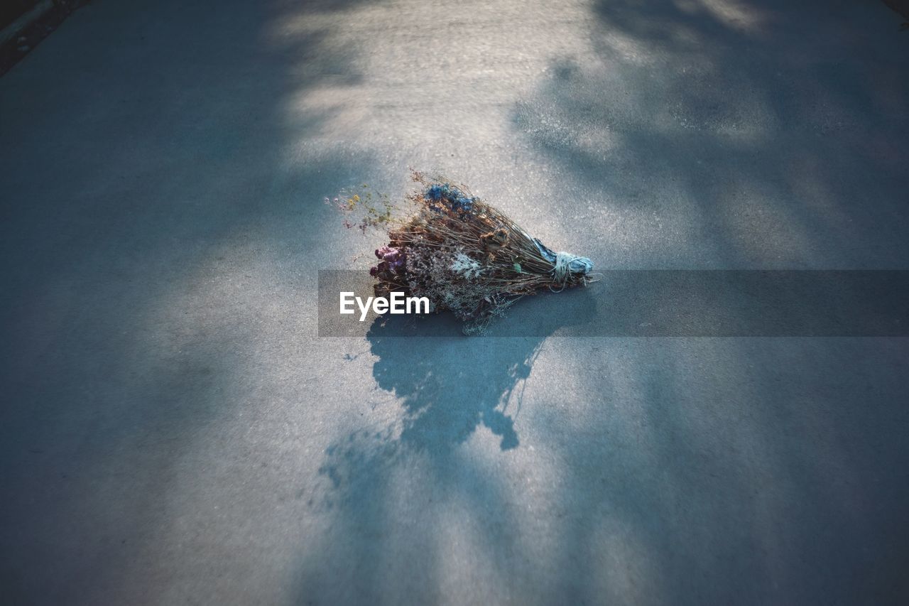 HIGH ANGLE VIEW OF LEAF FLOATING ON WATER