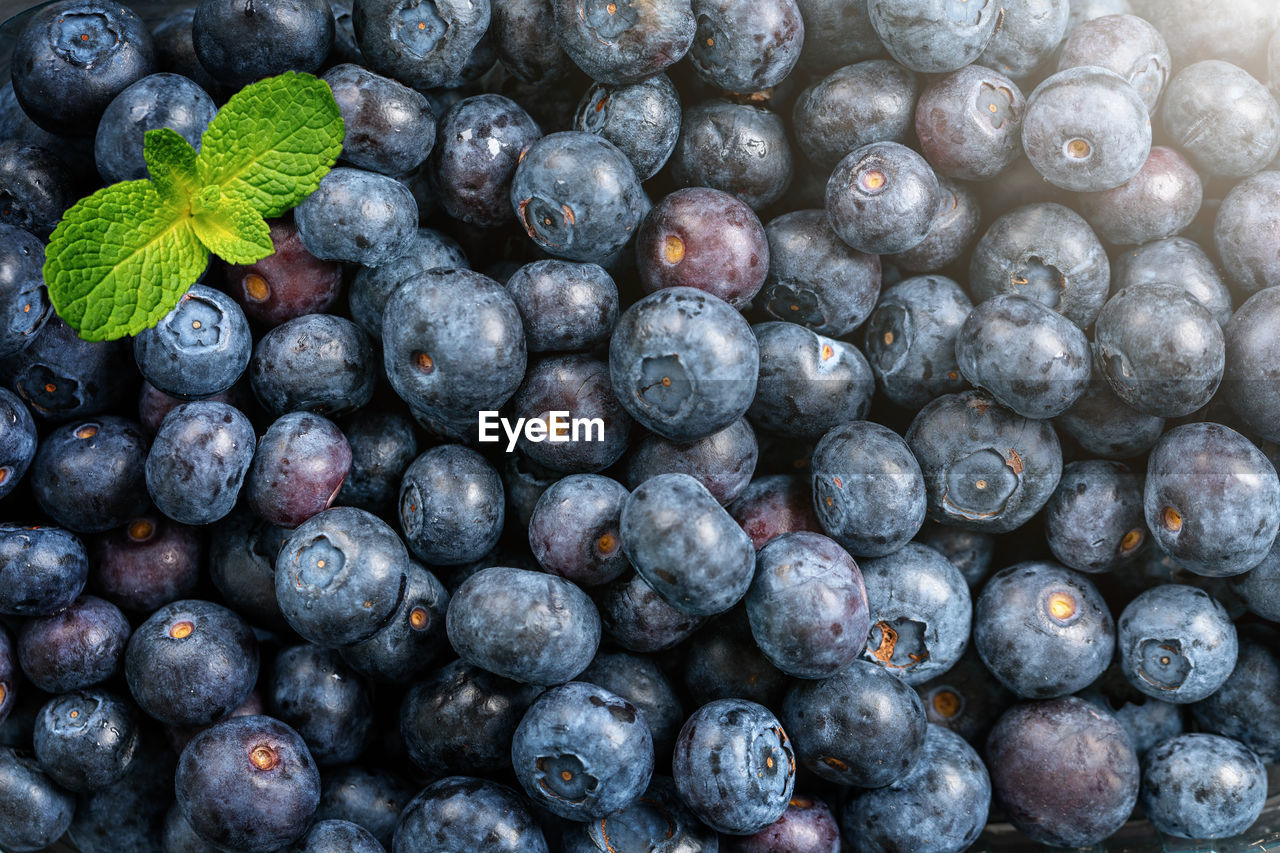 FULL FRAME SHOT OF FRESH GRAPES