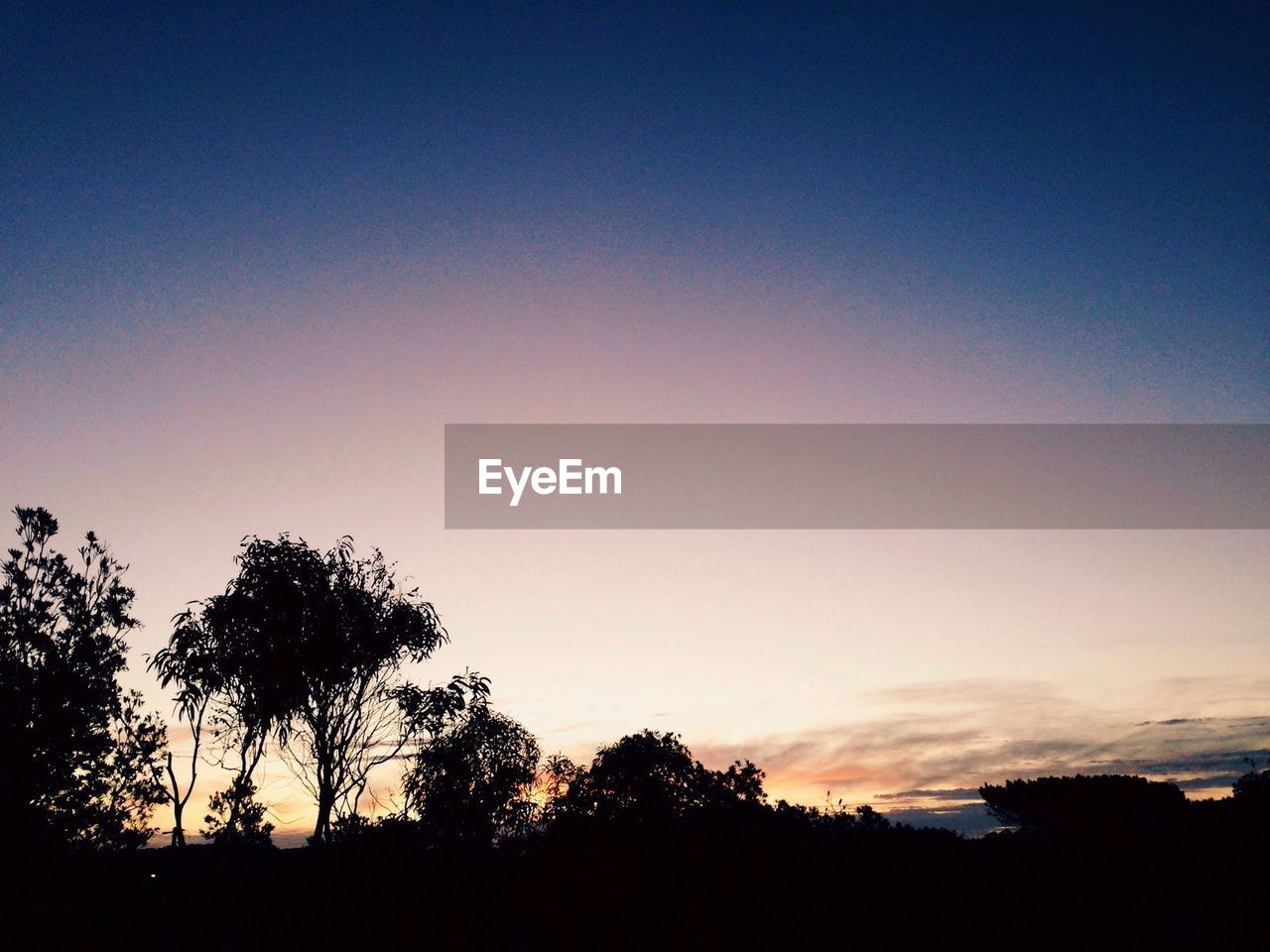 Silhouette trees against sky during sunset