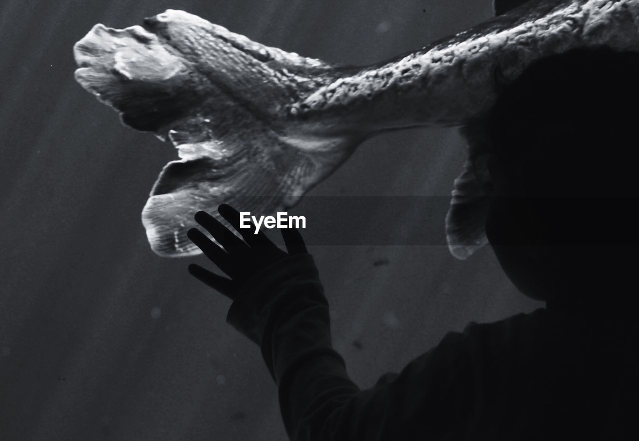 CLOSE-UP OF MAN HOLDING WATER IN HAND