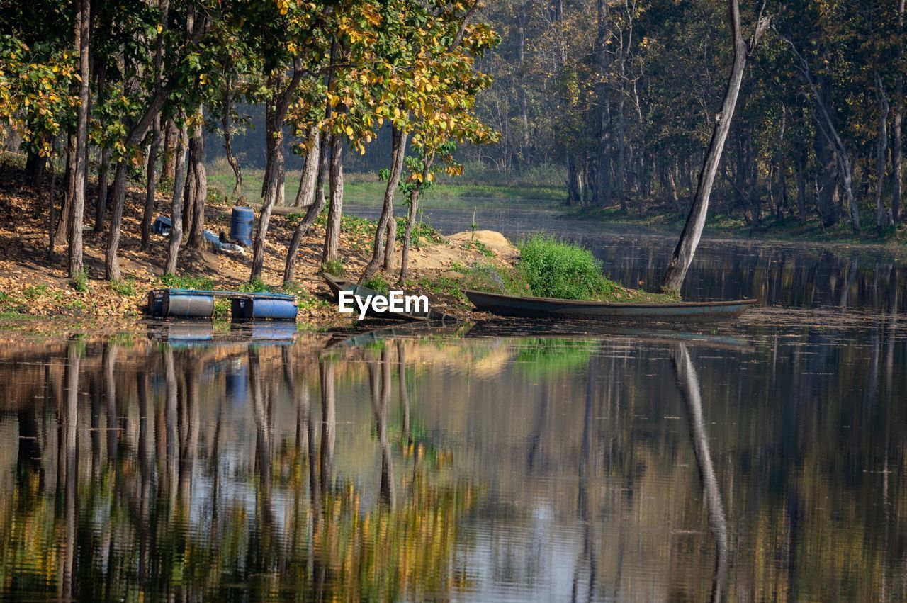 Scenic view of lake in forest