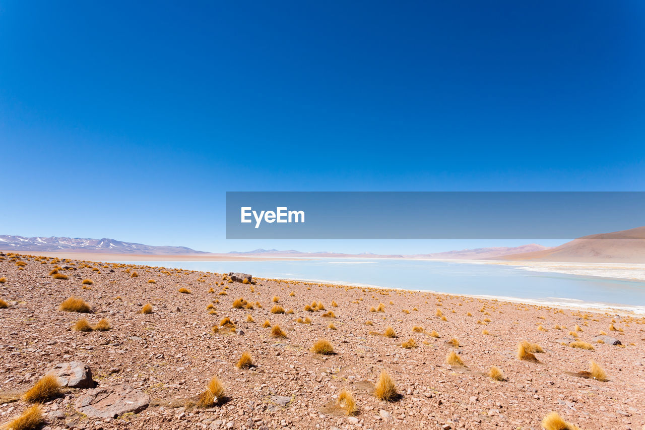 scenic view of sea against clear blue sky