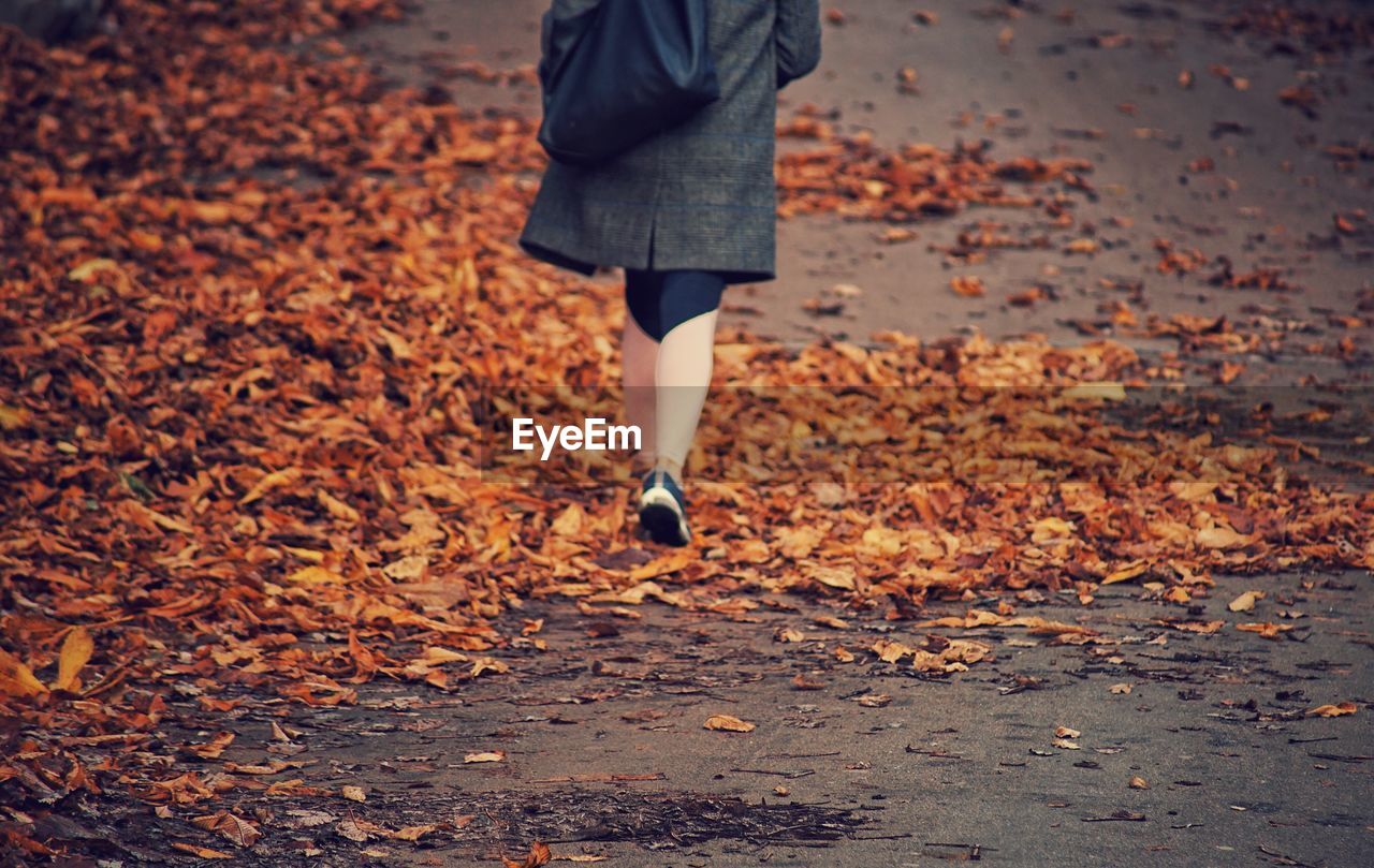 Low section of woman walking on autumn leaves