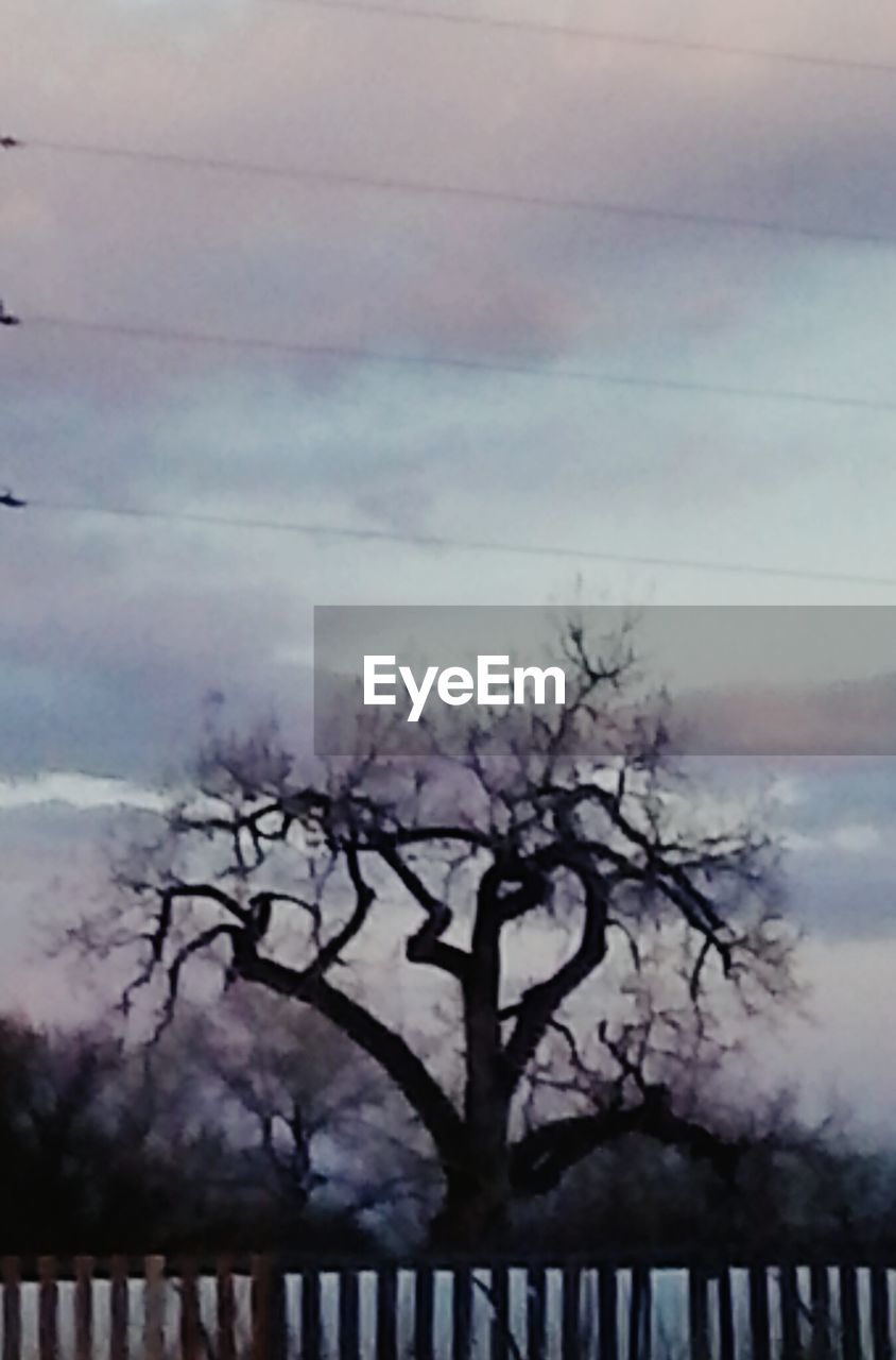 LOW ANGLE VIEW OF BARE TREES AGAINST CLOUDY SKY