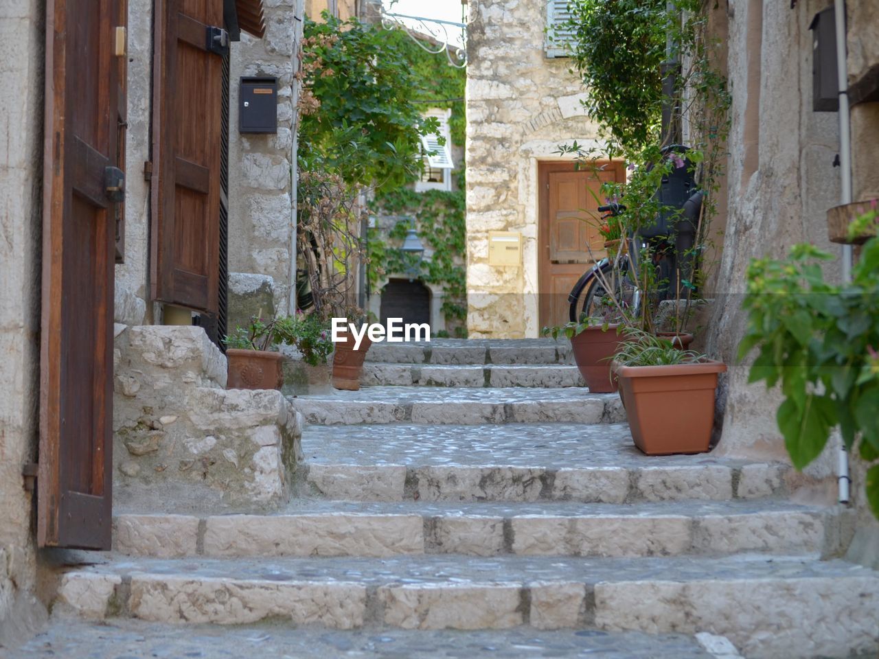 Potted plants on steps of house