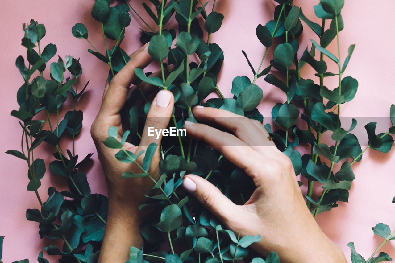 Close-up of woman holding leaves