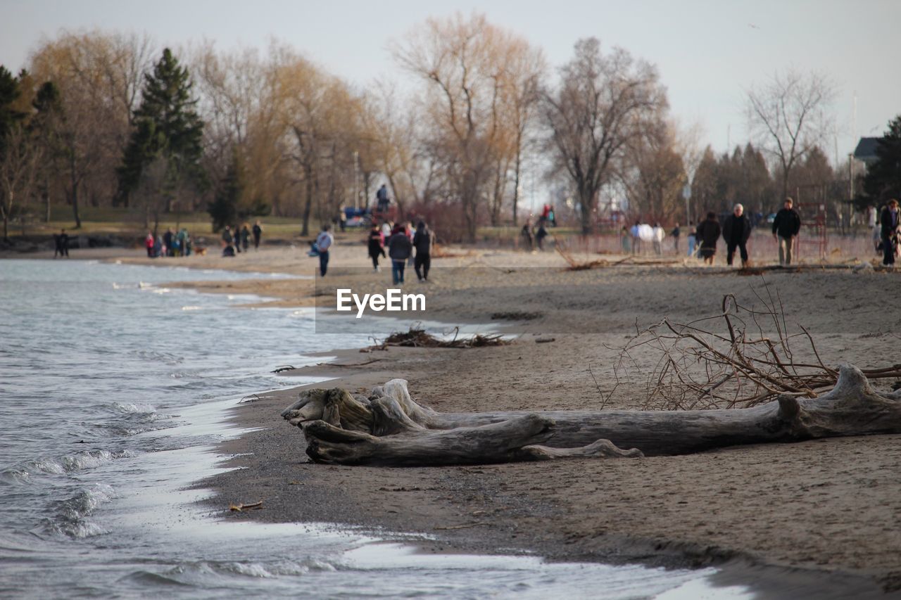 People at park