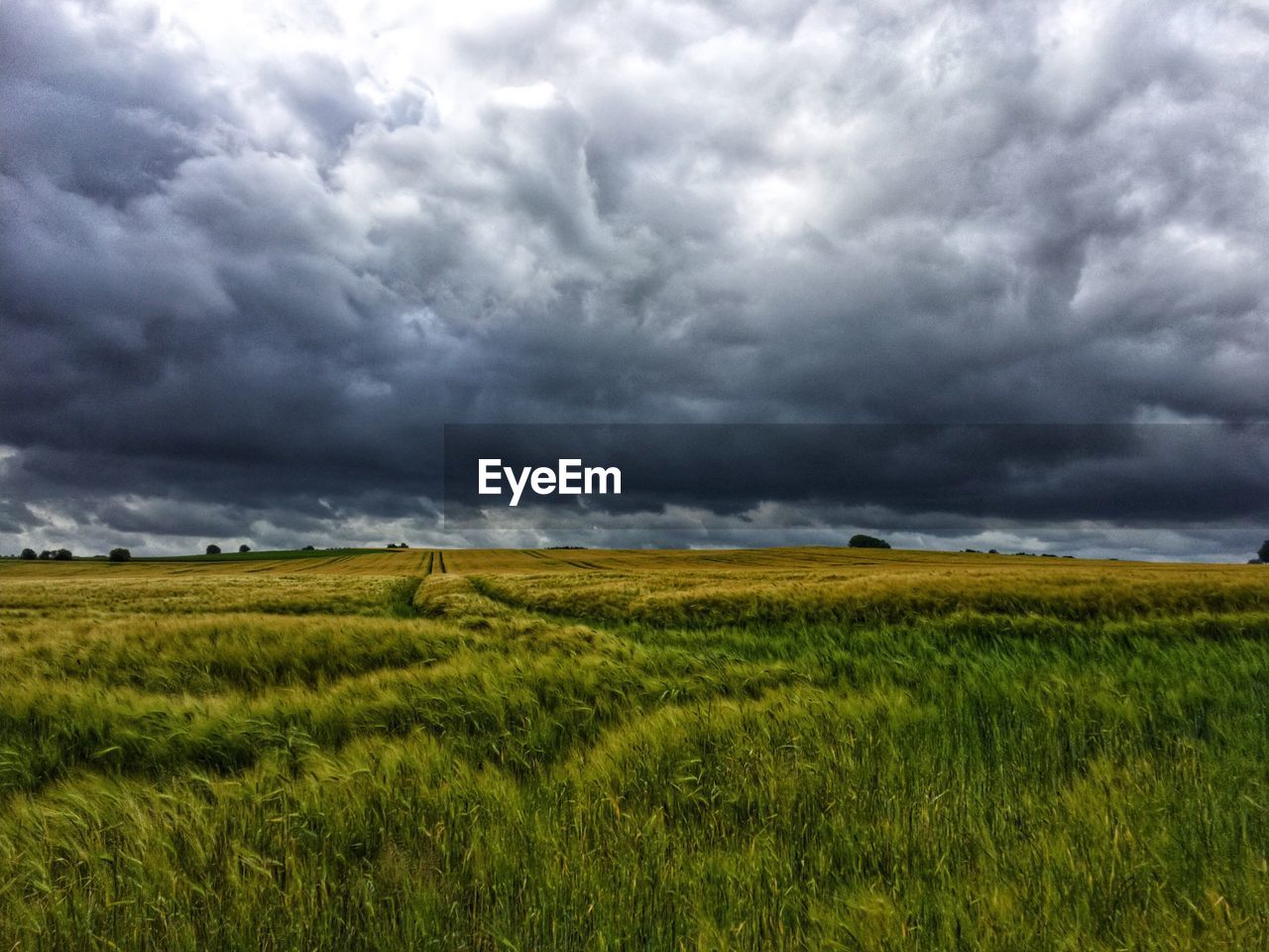 Scenic view of field against cloudy sky