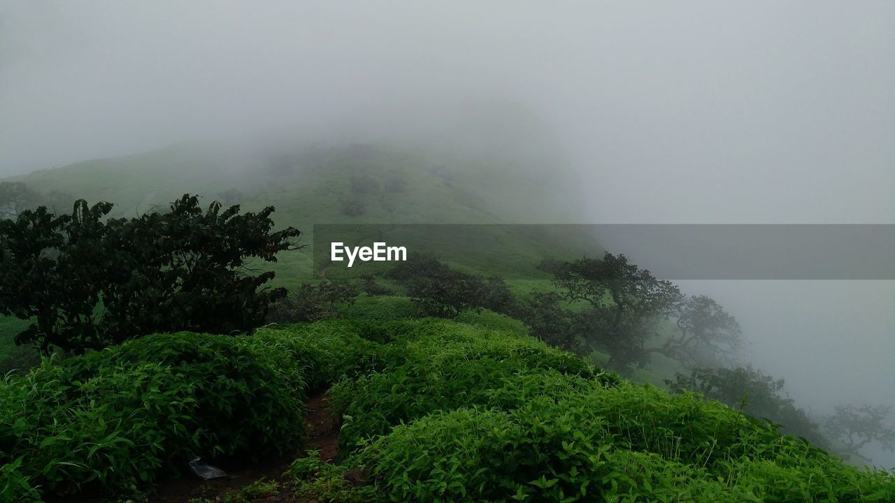 SCENIC VIEW OF MOUNTAINS IN FOGGY WEATHER AGAINST SKY