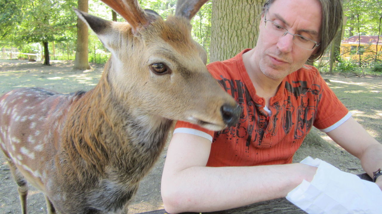 Man with fallow deer