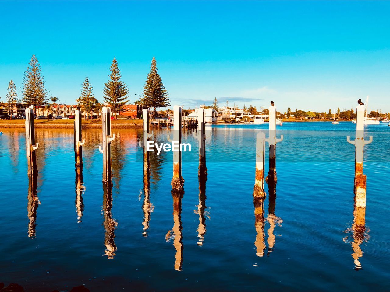 WOODEN POSTS IN LAKE