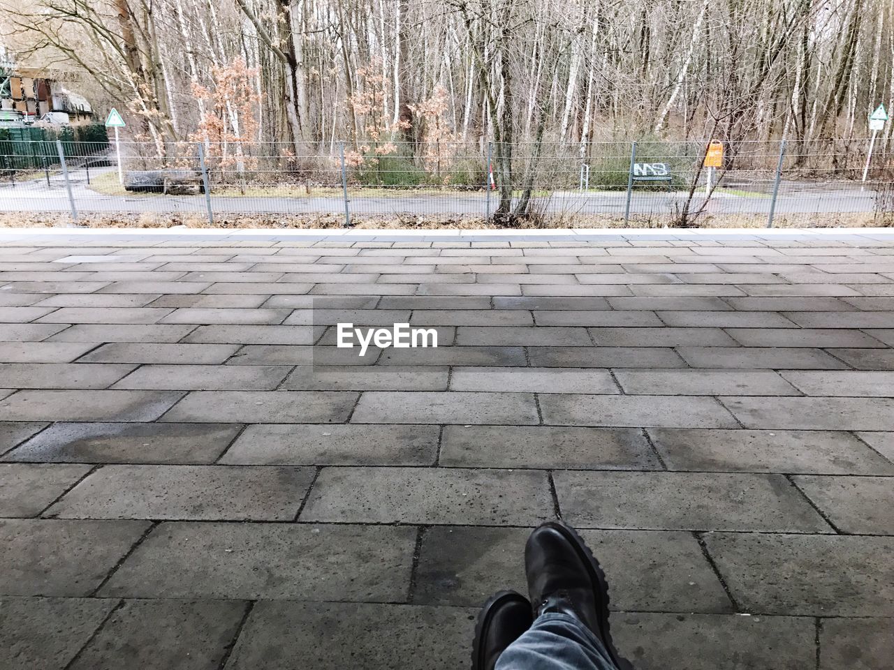 Low section of man sitting on footpath against bare trees