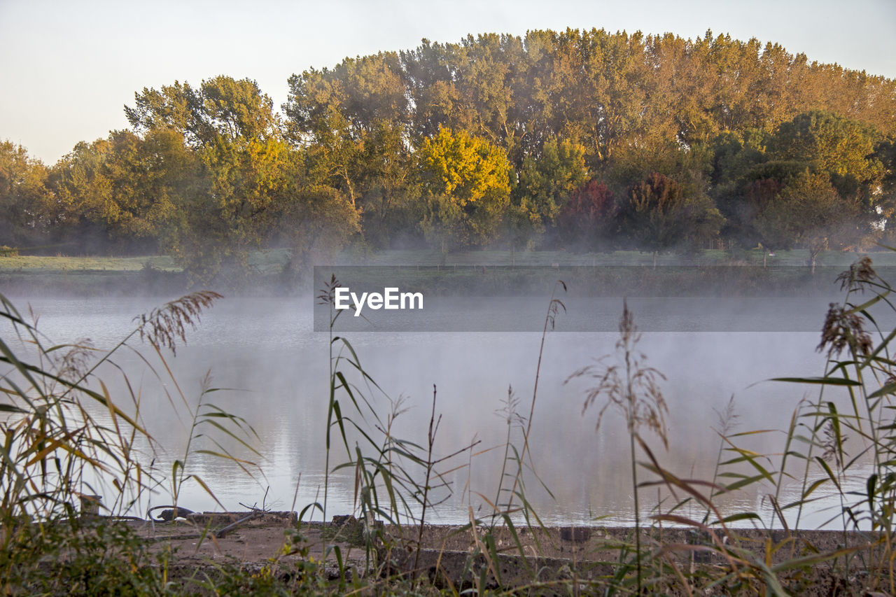 SCENIC VIEW OF LAKE AGAINST TREES