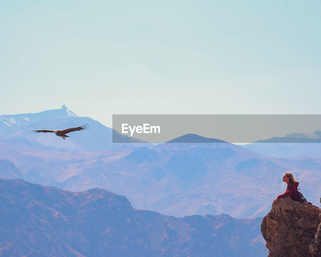 Low angle view of bird flying against mountain