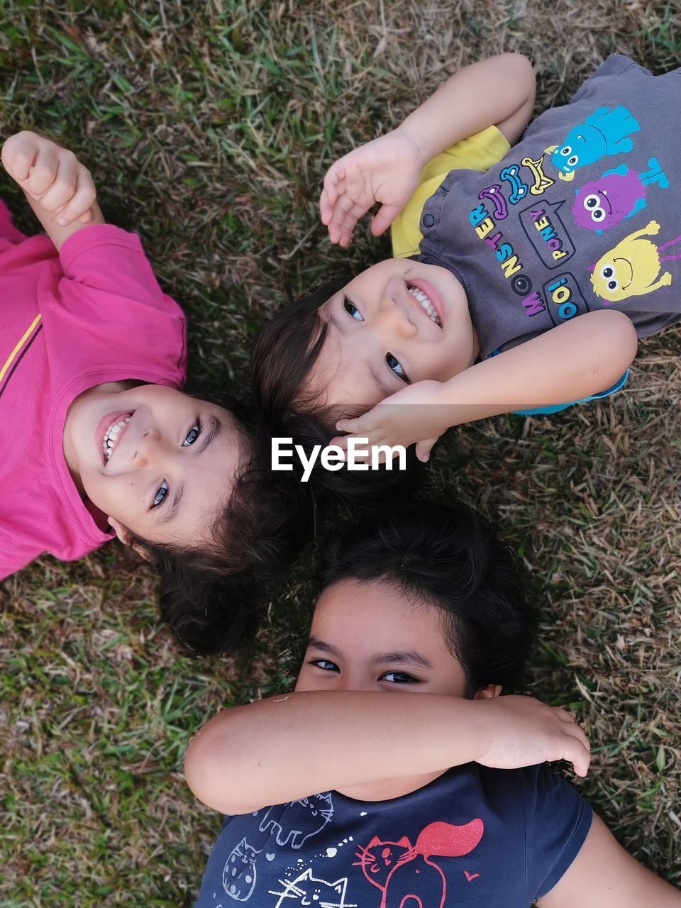 Portrait of smiling siblings lying on grassy land