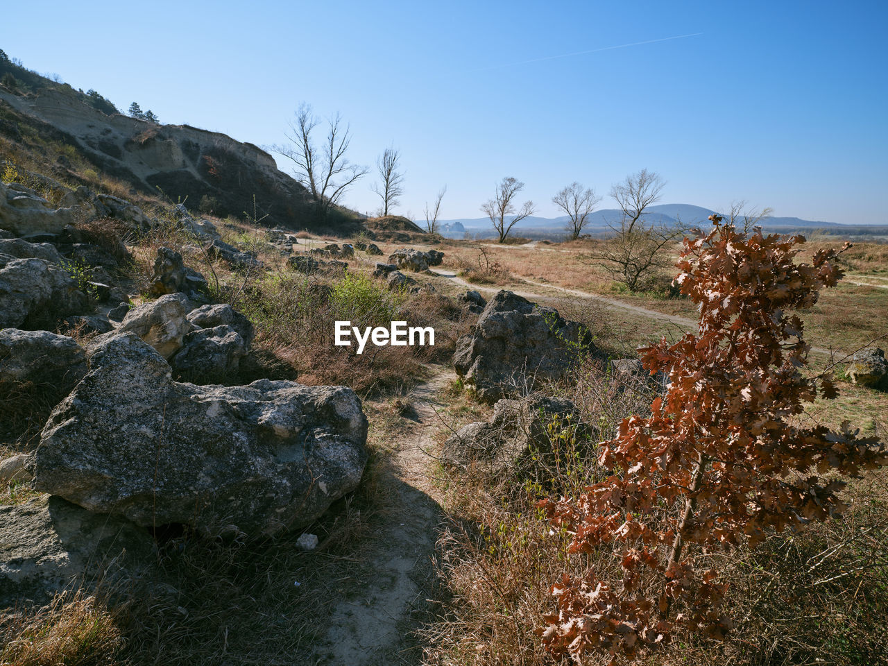 Rocky hill Sandberg and footpath to Devin castle, Slovakia Landscape Rock Rocks Rocky Tourism Path Footpath Direction Trip Outdoors Background