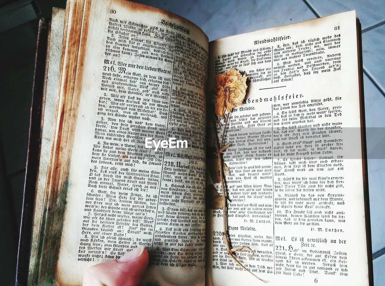 Close-up of cropped book, revealing a secret 
