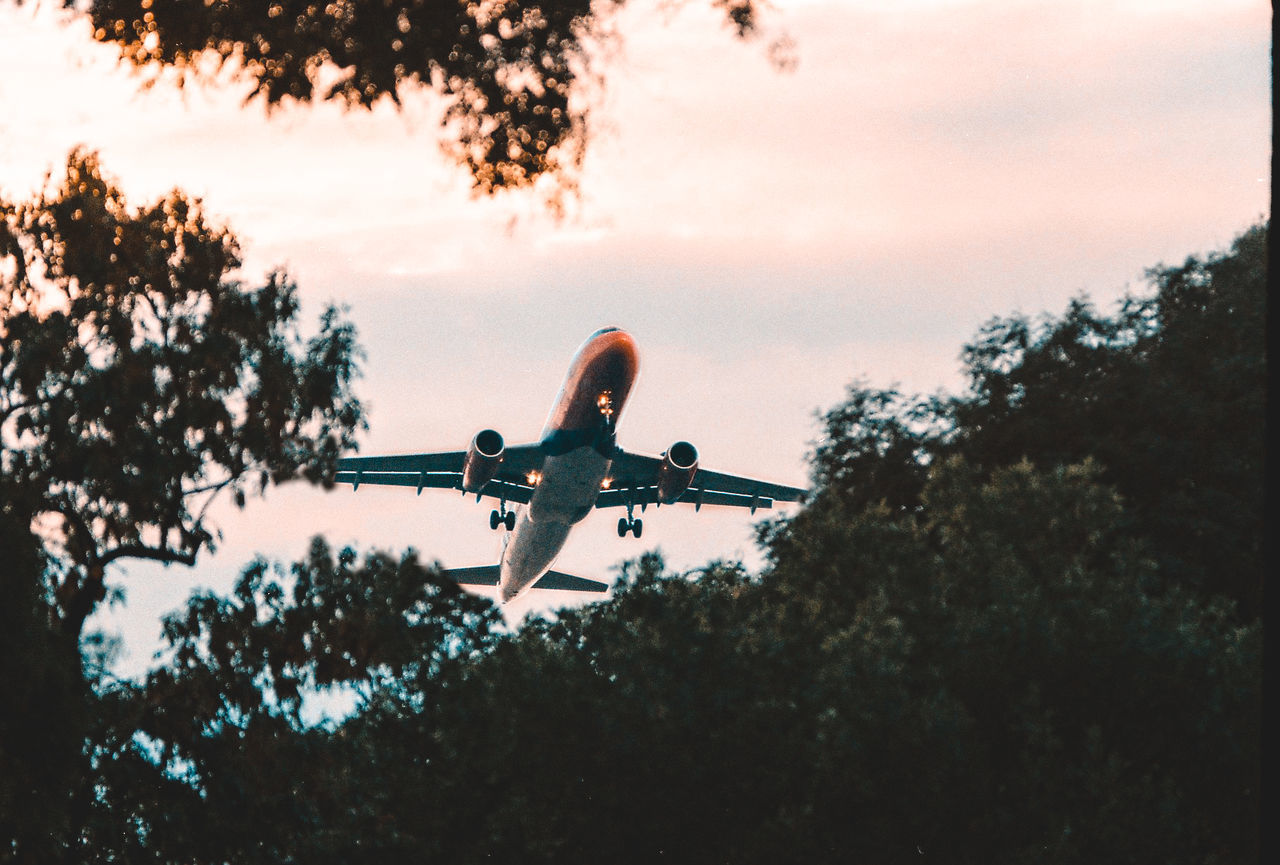 LOW ANGLE VIEW OF AIRPLANE AGAINST SKY