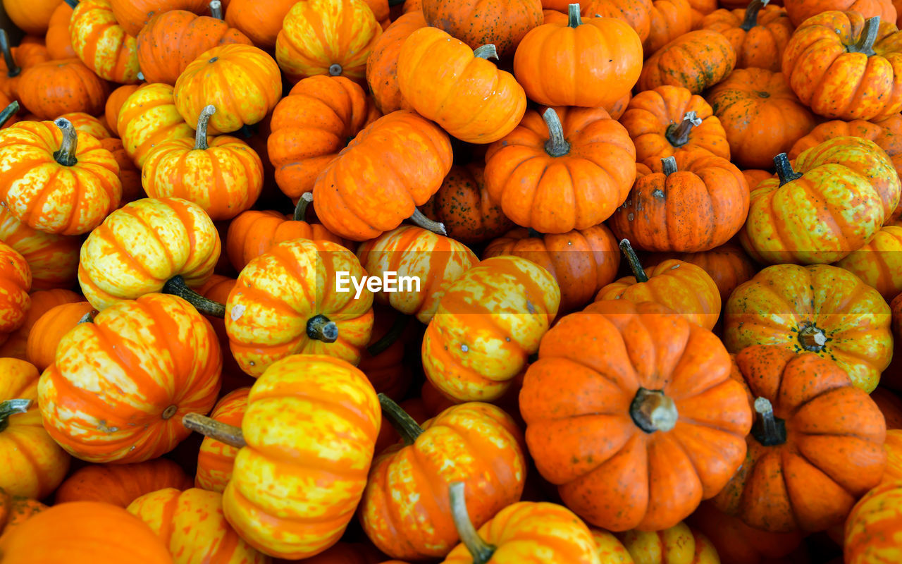 Full frame shot of pumpkins at market stall