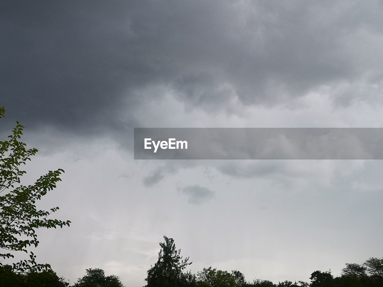 sky, cloud, tree, plant, nature, storm, environment, beauty in nature, no people, storm cloud, dramatic sky, thunderstorm, overcast, outdoors, rain, cloudscape, low angle view, scenics - nature, day, monsoon, wet, landscape, silhouette