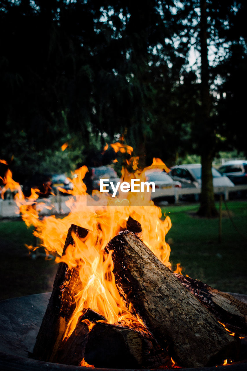 Close-up of bonfire at yard