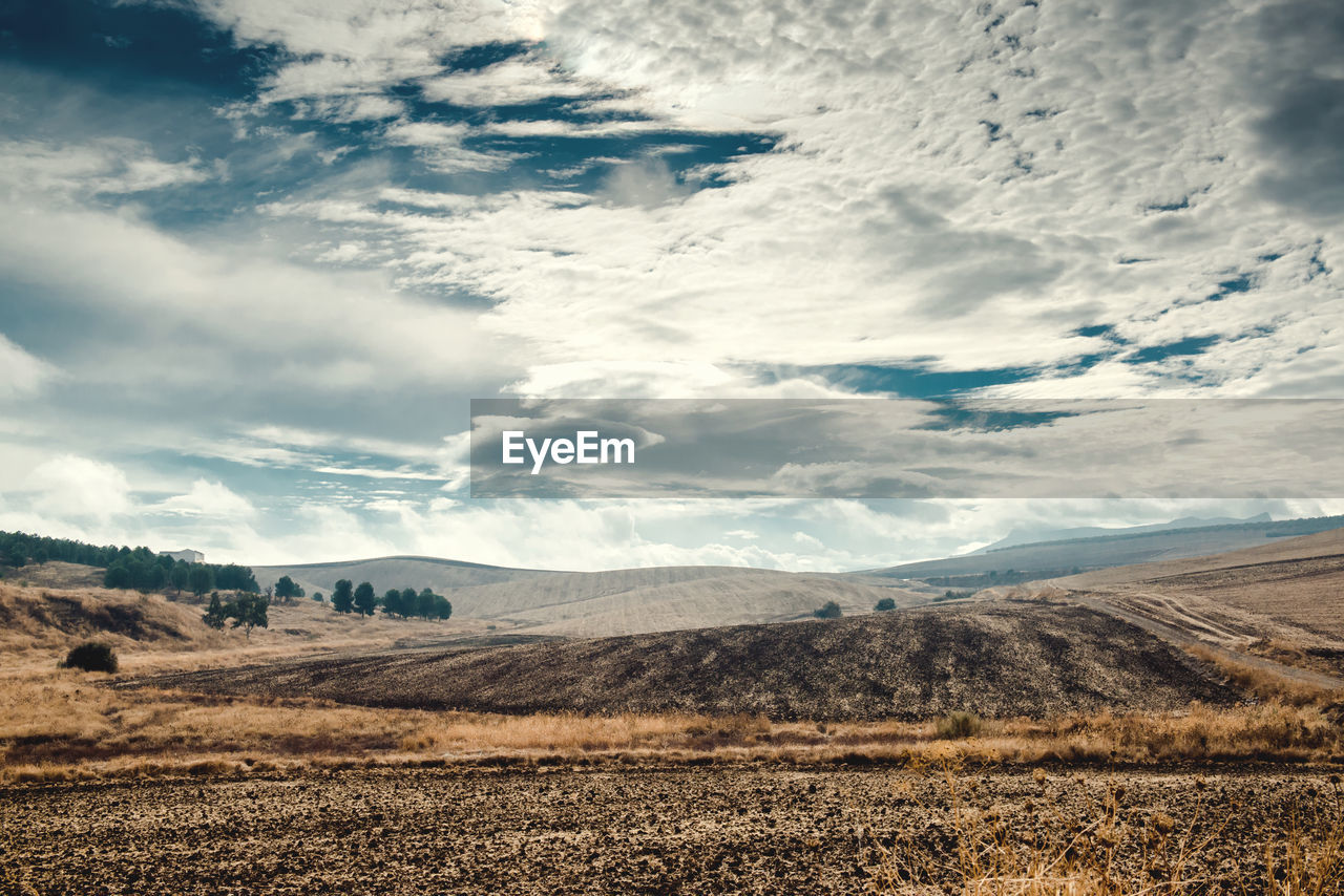 Scenic view of landscape against sky