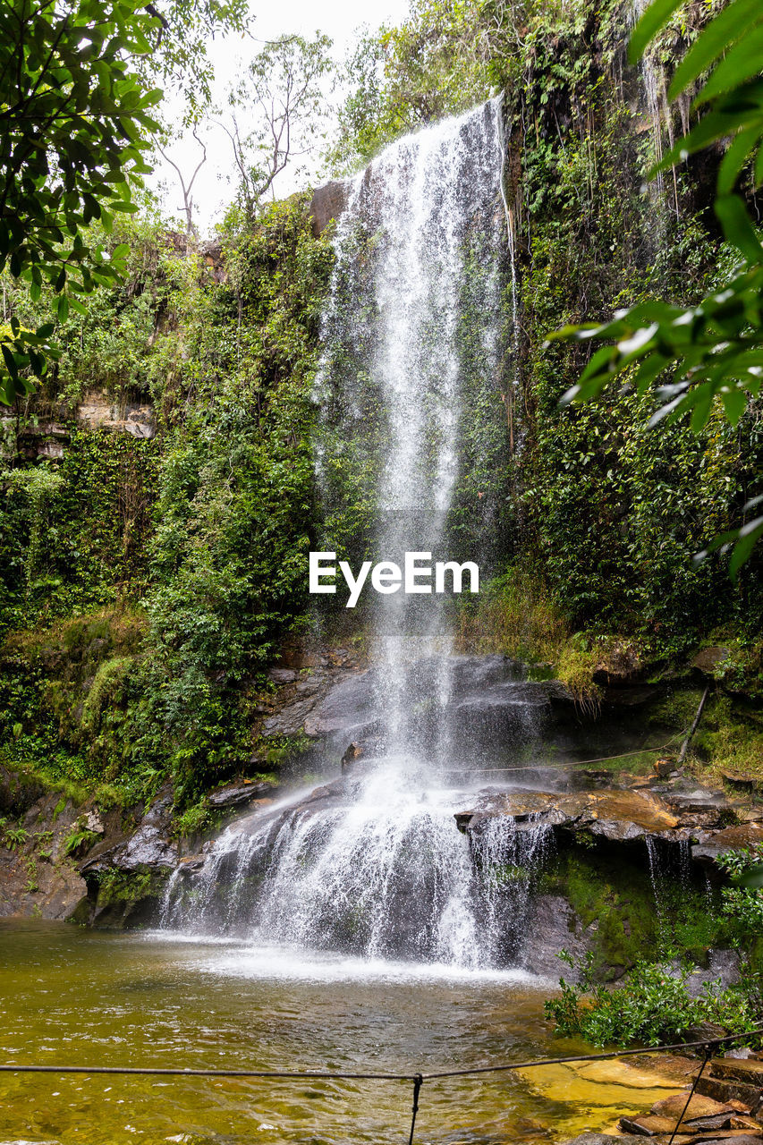 WATERFALL IN FOREST