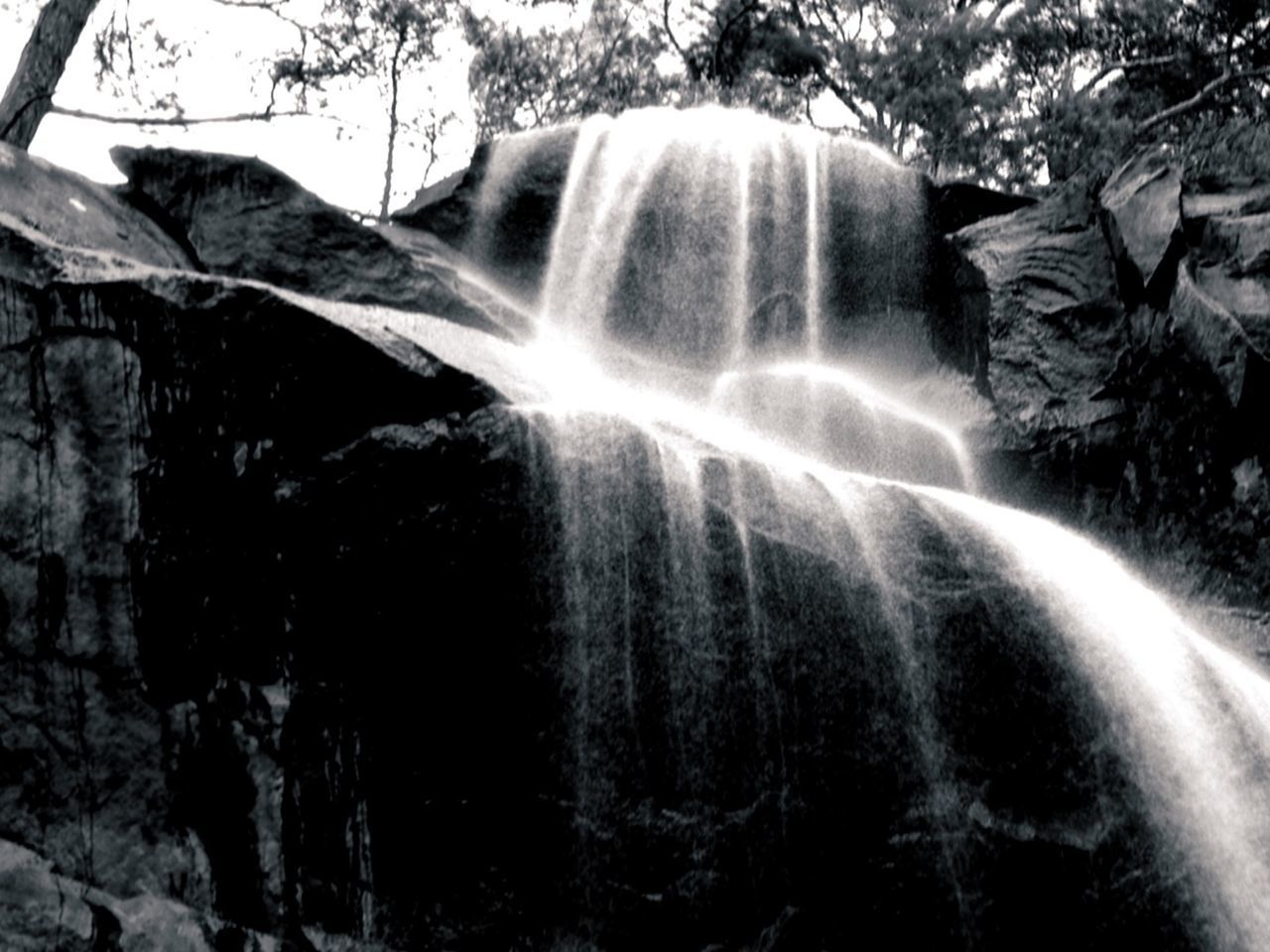 WATERFALL IN FOREST