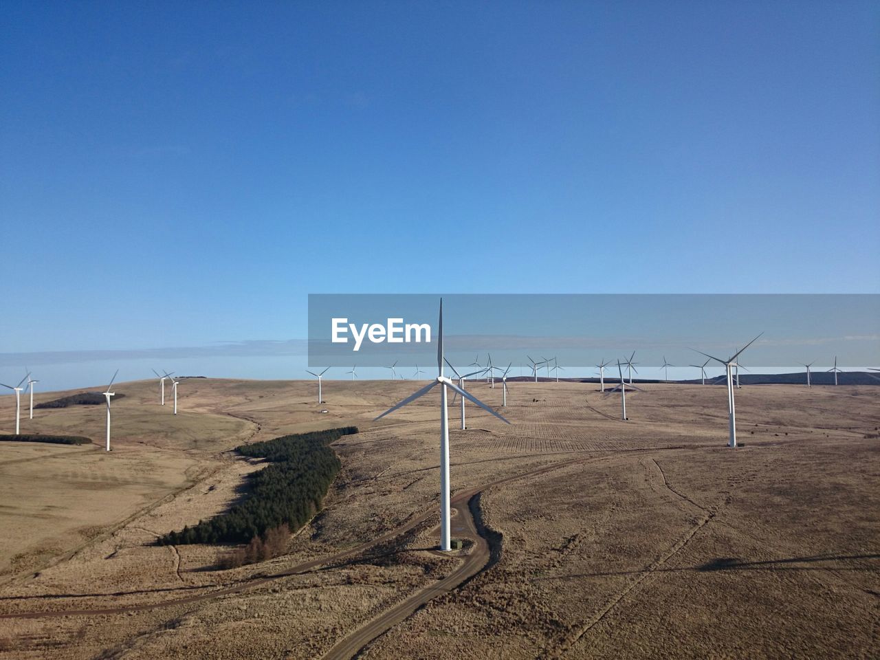 Windmills on field against sky