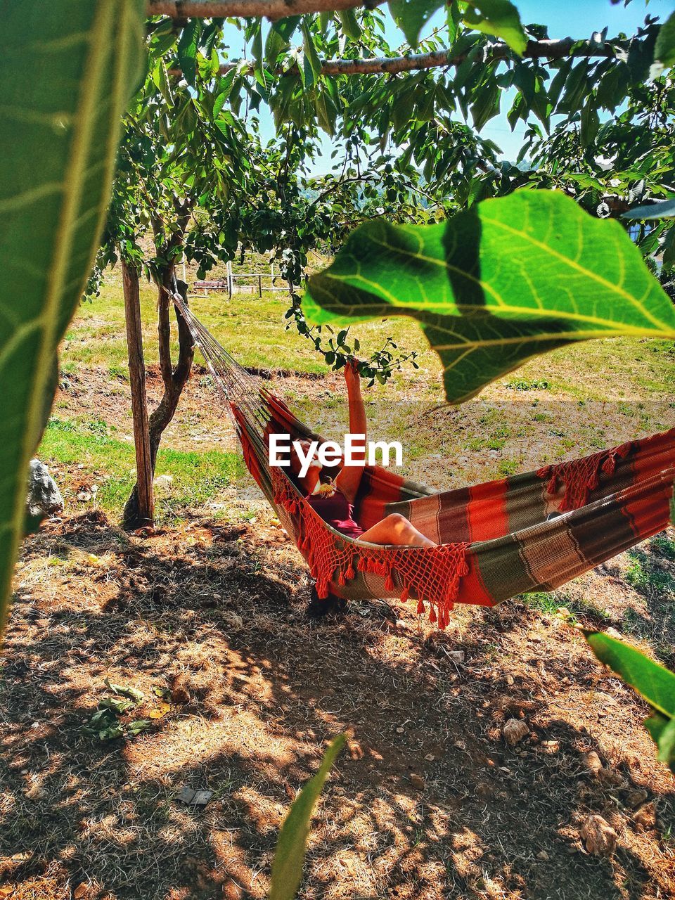 Woman relaxing on hammock