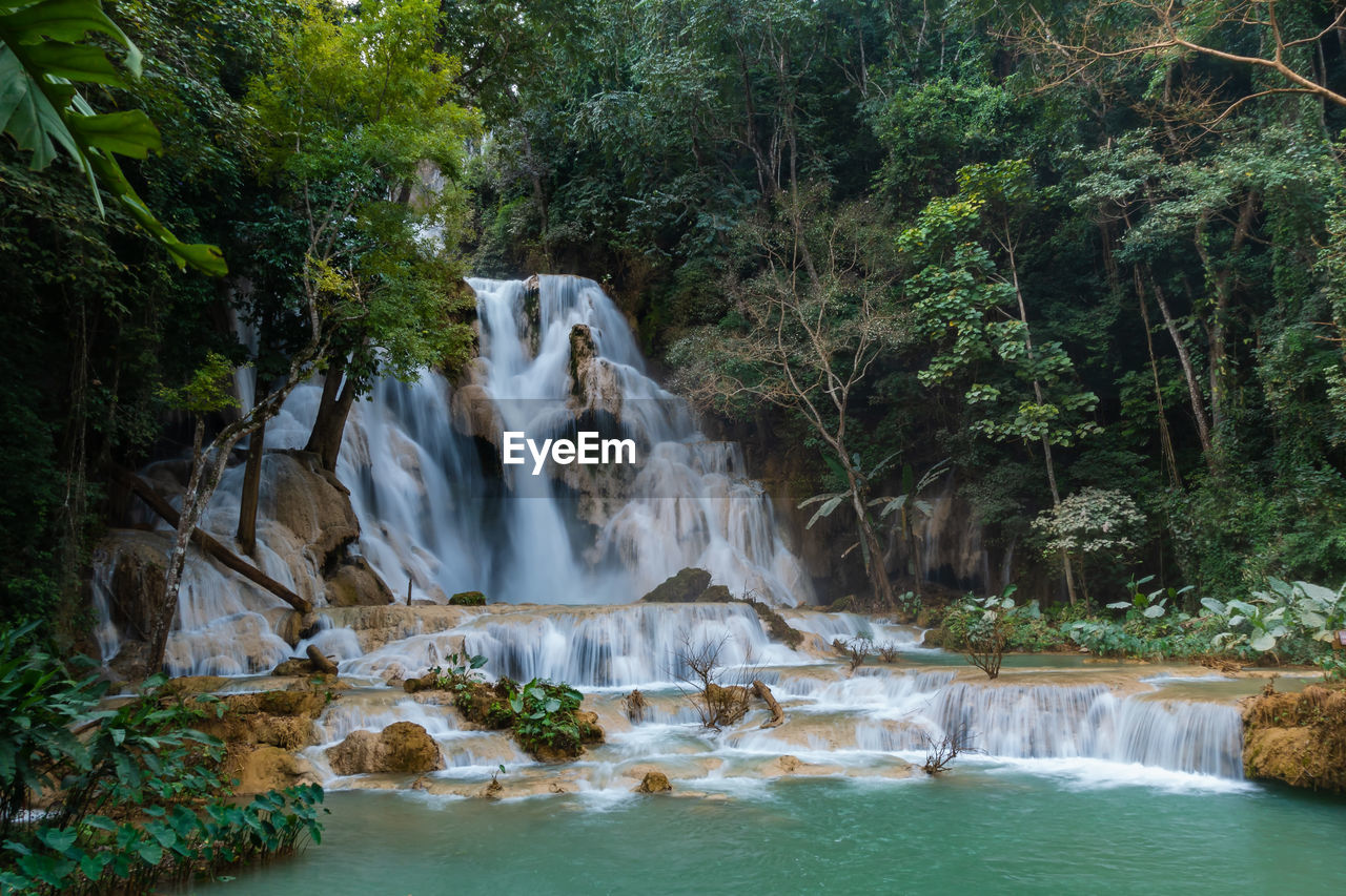 view of waterfall in forest