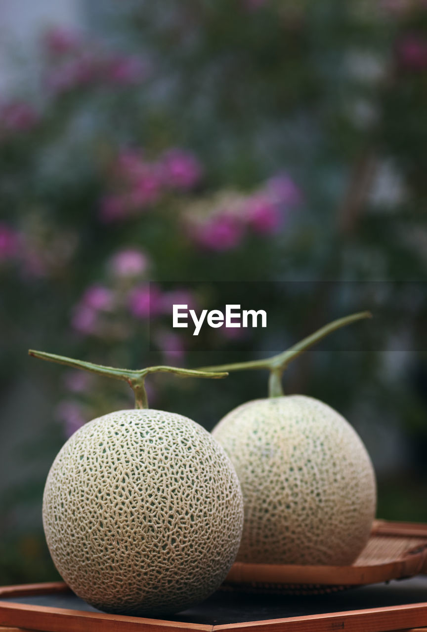 Close-up of cantaloupes on table