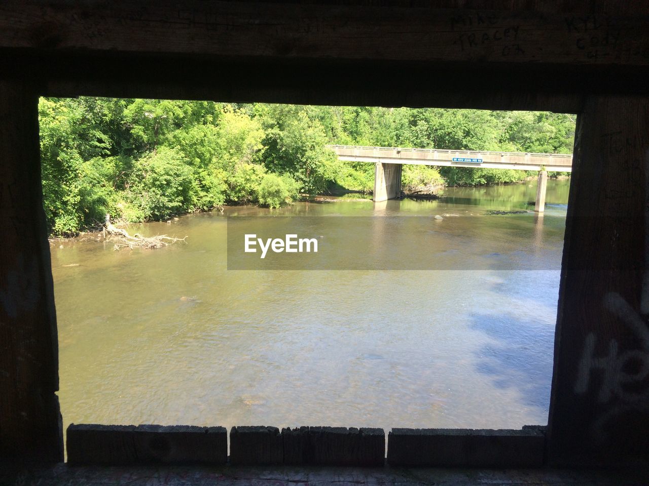 VIEW OF TREES IN WATER