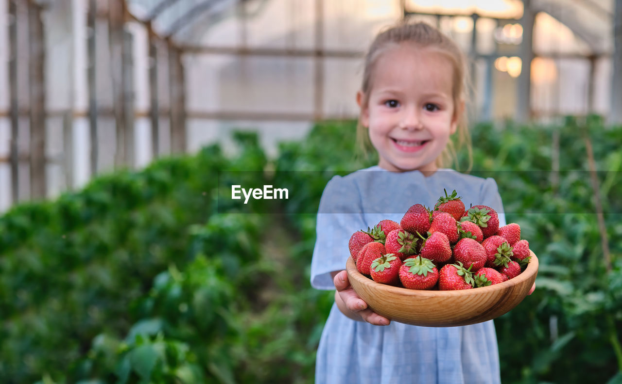 portrait of cute baby girl holding strawberries