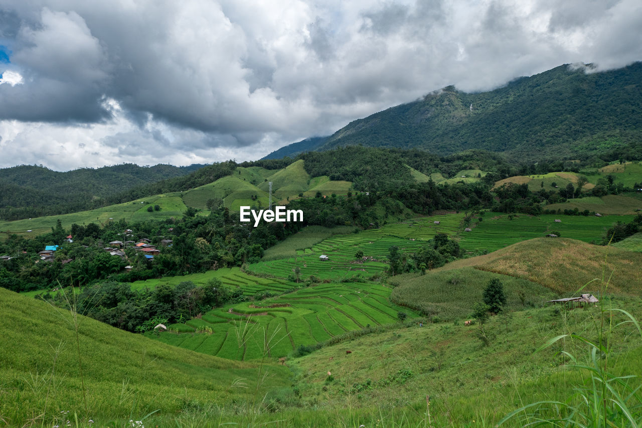 SCENIC VIEW OF FARM AGAINST SKY