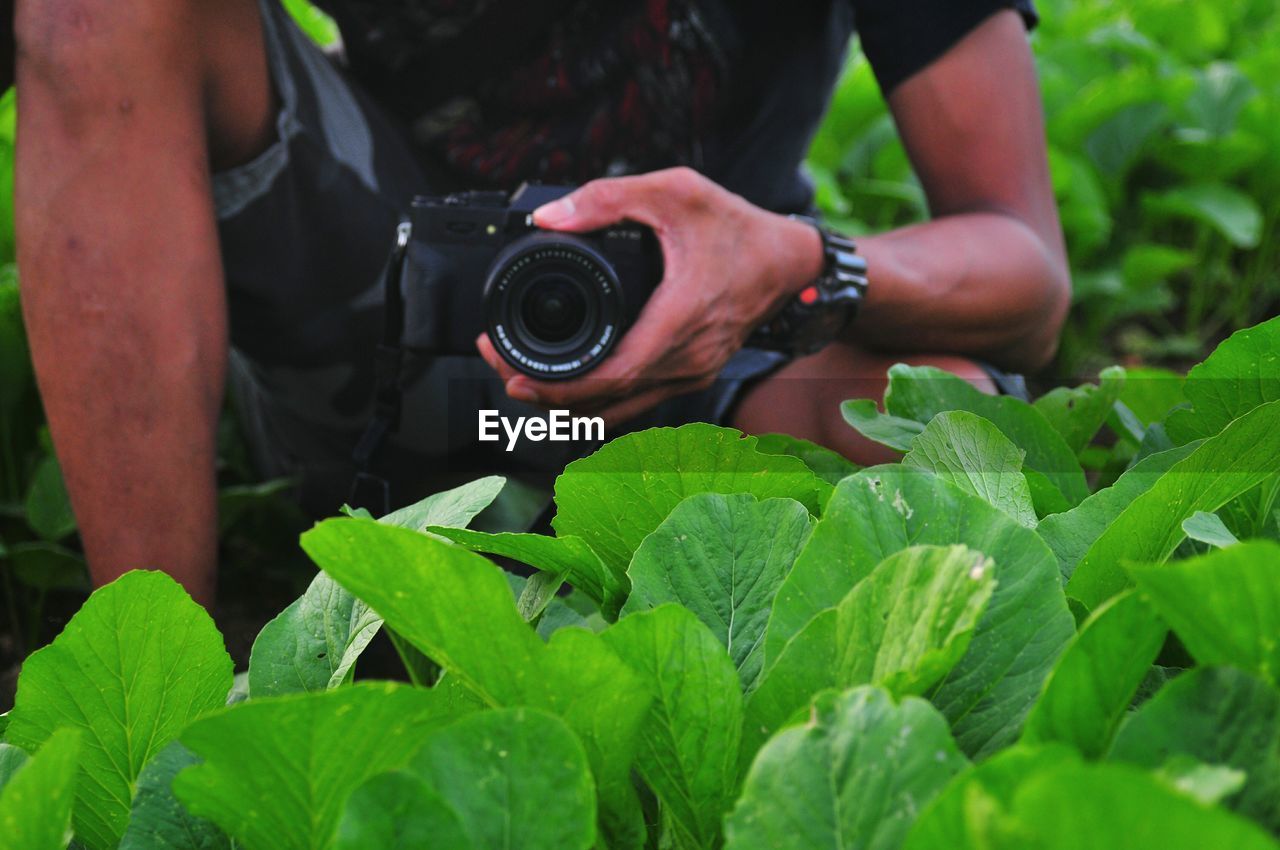 Midsection of man photographing plants with camera while crouching on field