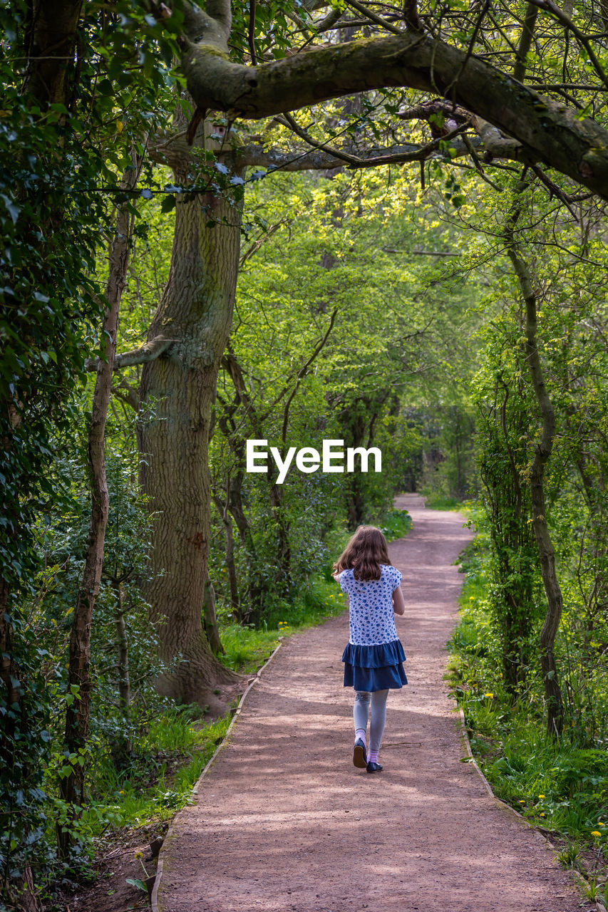 Full length rear view of girl walking on footpath in forest