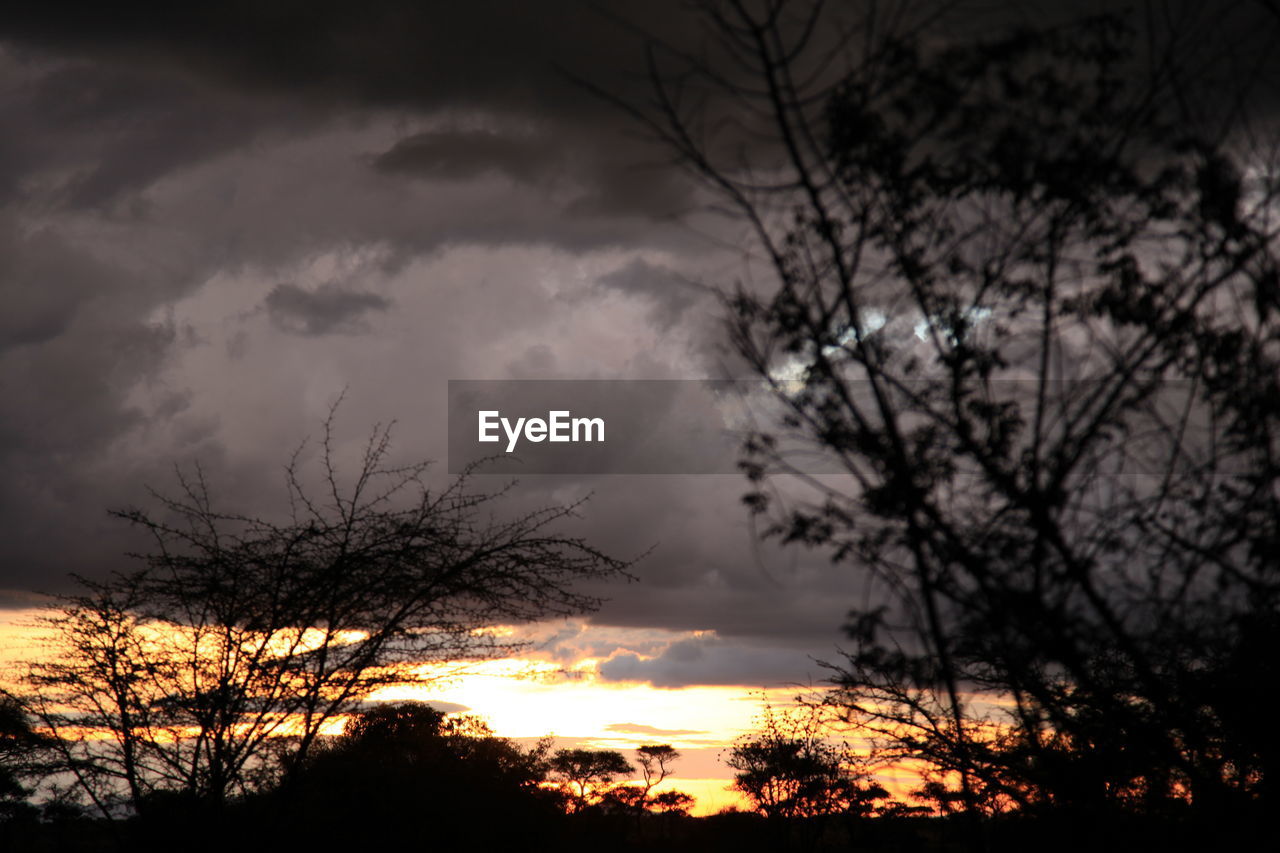 SILHOUETTE OF BARE TREES AGAINST CLOUDY SKY AT SUNSET