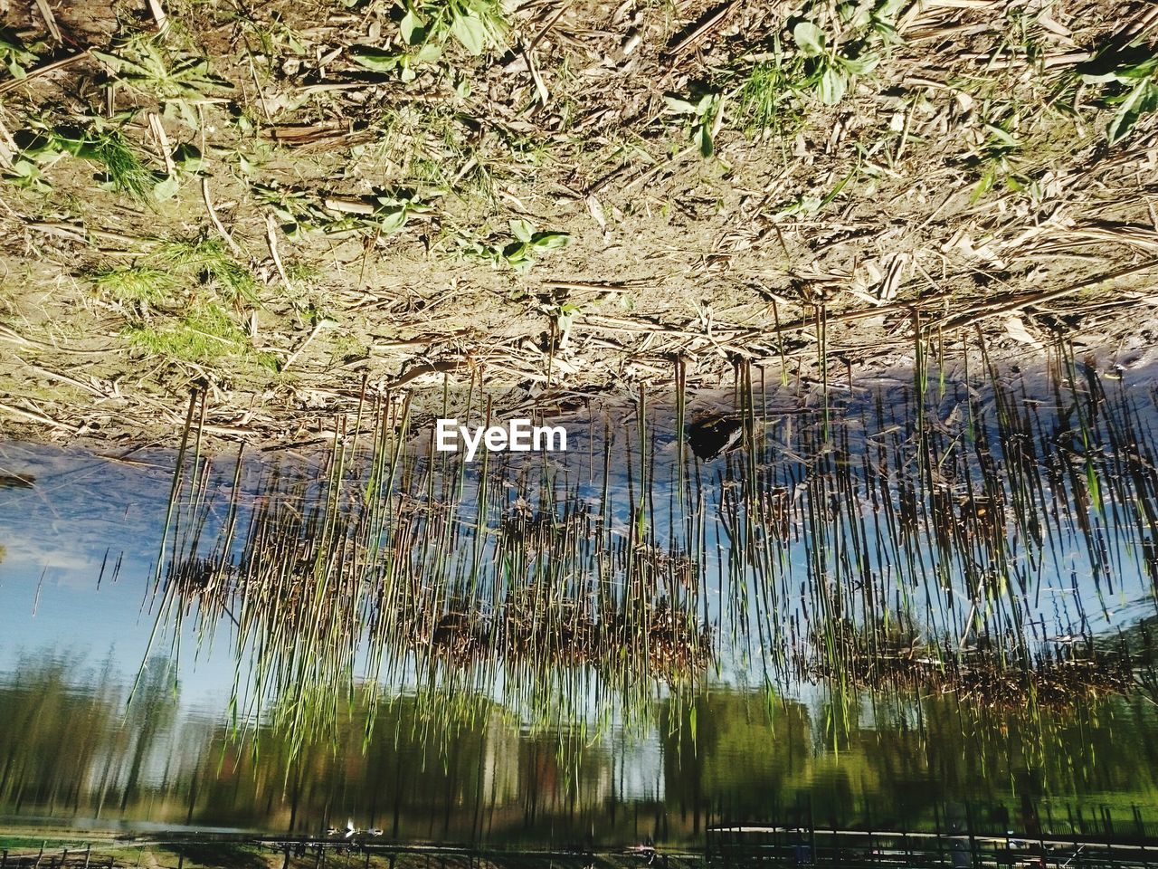 SCENIC VIEW OF WATER AGAINST SKY