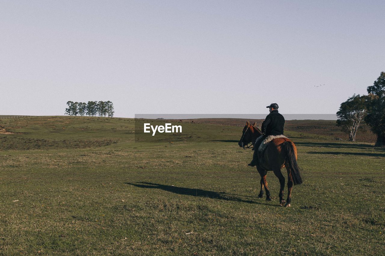 Man riding horse on field