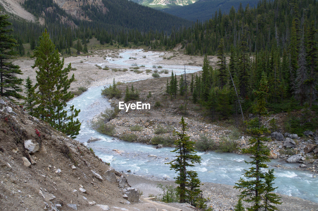 Scenic view of bow river