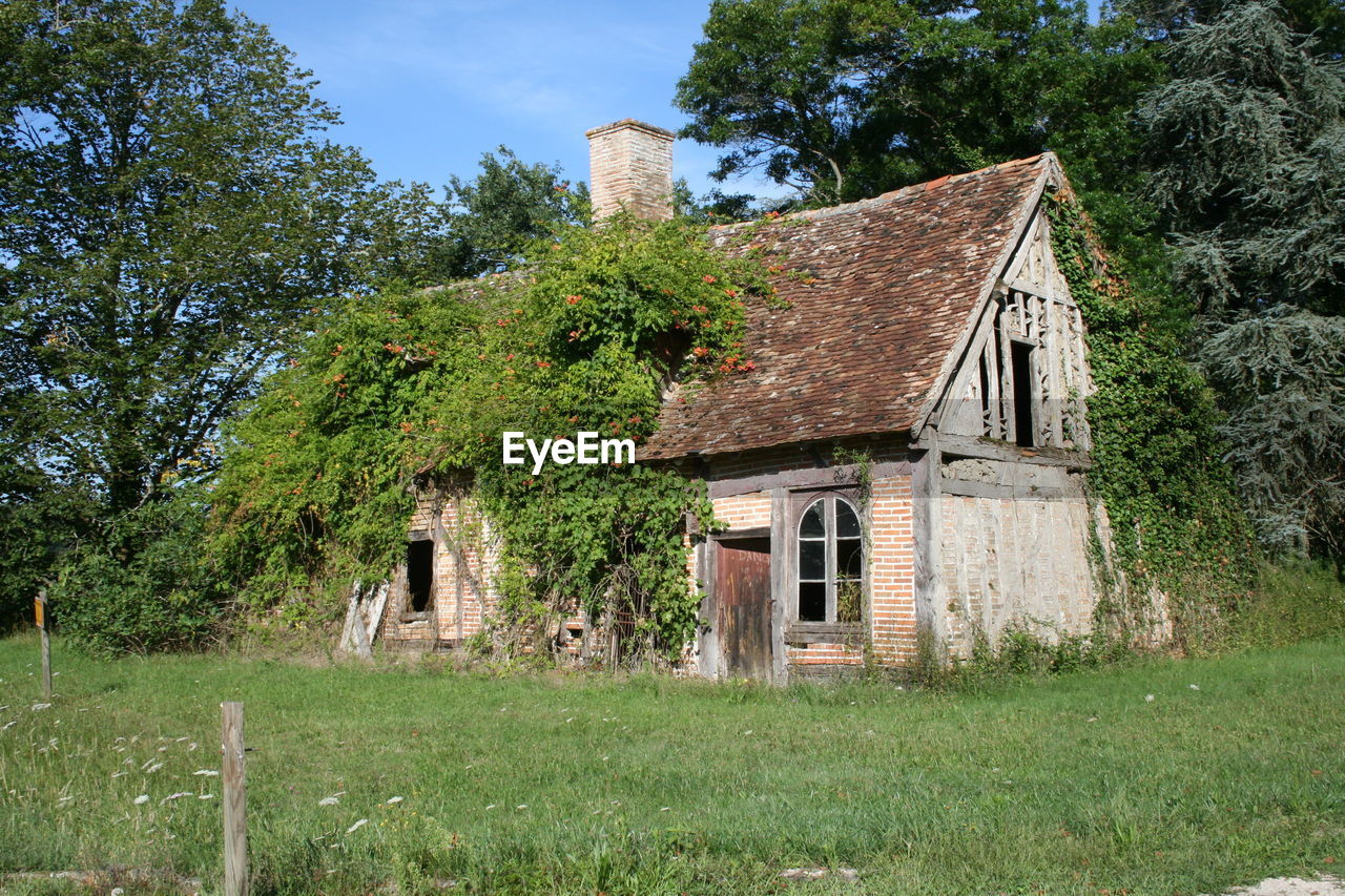 Abandoned house on grassy field
