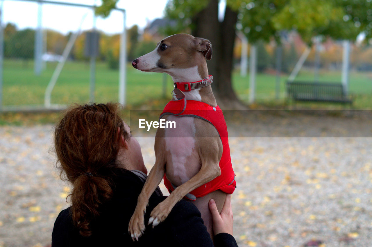 Rear view of woman with italian greyhound at park