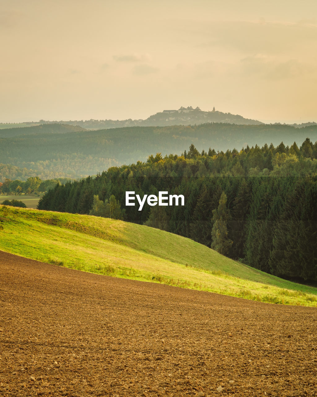 SCENIC VIEW OF GREEN LANDSCAPE AGAINST SKY