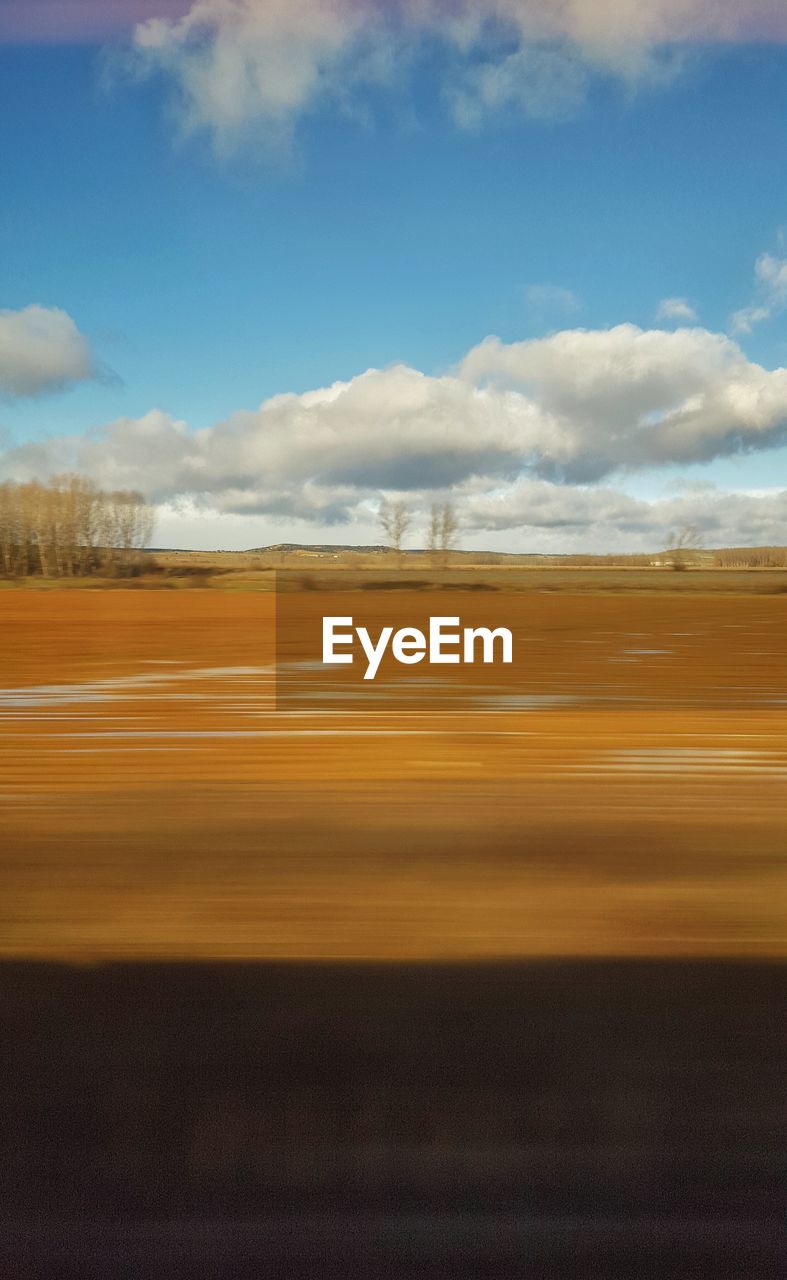 Bare trees in distance on landscape against the sky