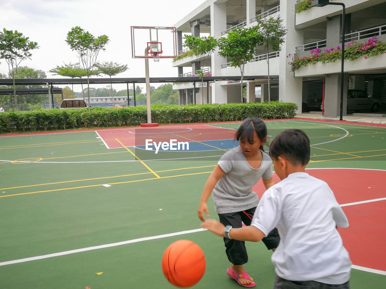 Girl playing basketball with brother at court