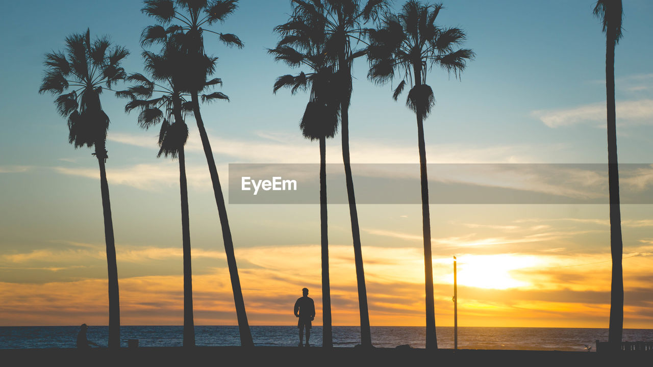 SILHOUETTE PALM TREES ON BEACH AGAINST SKY