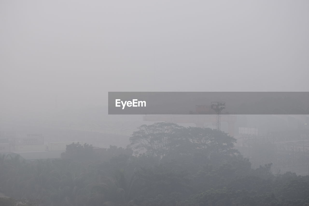 Trees against sky during foggy weather